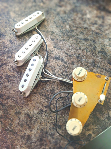 Tokai springy sound pickups - tokai,
